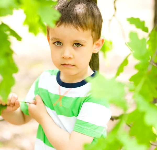 Chlapec se hraje v lese — Stock fotografie
