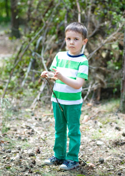Boy is playing in the wood — Stock Photo, Image