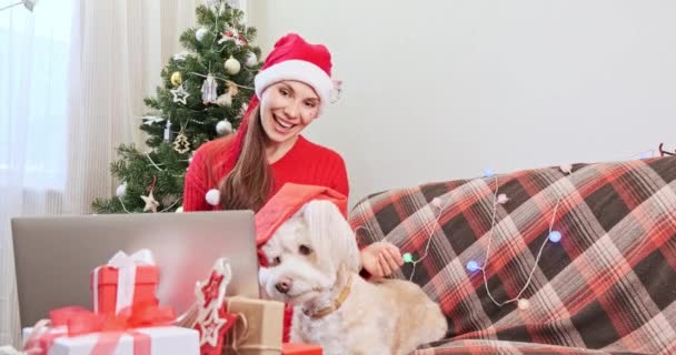 Kvinne med nissehatt og liten hund kommuniserer med sine kjære på nettet via en bærbar datamaskin. Jente gratulerer venner med god jul og godt nytt år under pandemien med å være hjemme foran laptop 'en – stockvideo