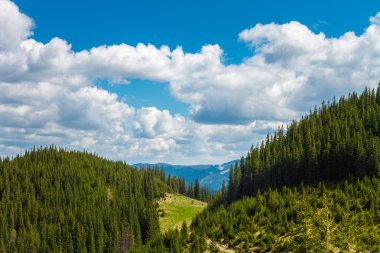 Yeşil Karpatlar dağlar