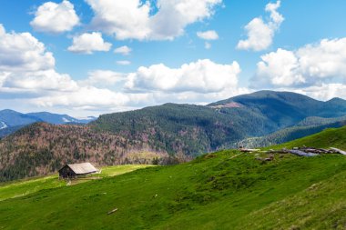 Yeşil Karpatlar dağlar