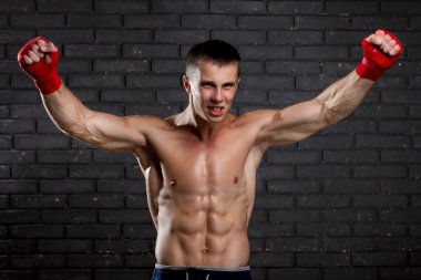 Mutlu çekici Fighter