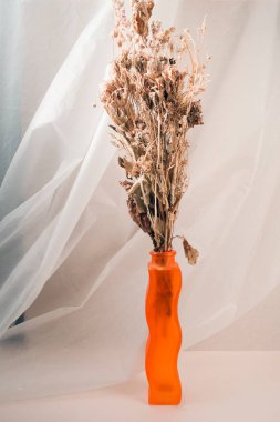 Kurutulmuş bitkiler ve çiçeklerle dolu eski bir hayat..