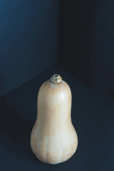 Koyu mavi odanın köşesinde şişe şeklinde olgun bir balkabağı var. Düzgün beslenme ve sağlıklı yaşam kavramı.