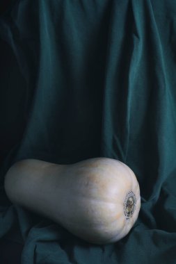 Yeşil bir bezin üzerinde duran bir balkabağıyla sakin bir hayat. Sağlıklı yaşam tarzı, düzgün beslenme.