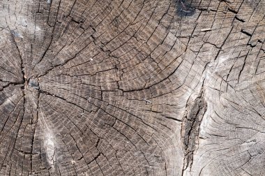 Bir köy kulübesinin ahşap dokusu. Sondan görüntüle.