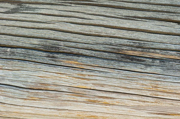 Textura Tronco Uma Cabana Aldeia — Fotografia de Stock