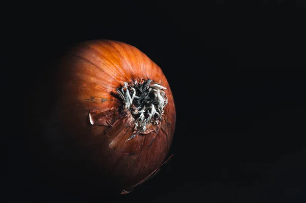 Foto Einer Zwiebel Auf Dunklem Hintergrund — Stockfoto