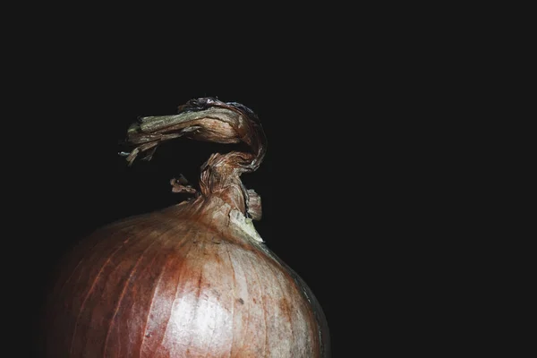 Koyu Arkaplanda Bir Soğanın Fotoğrafı — Stok fotoğraf