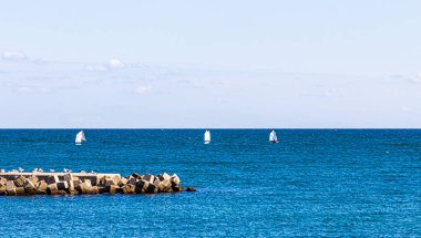 Denizde yatlar. Denizciler denizde. Denizdeki tekneler.