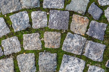 Bu bir fırça. Eski bir duvar ustası. Bu eski bir yol. Taştan bir yol.