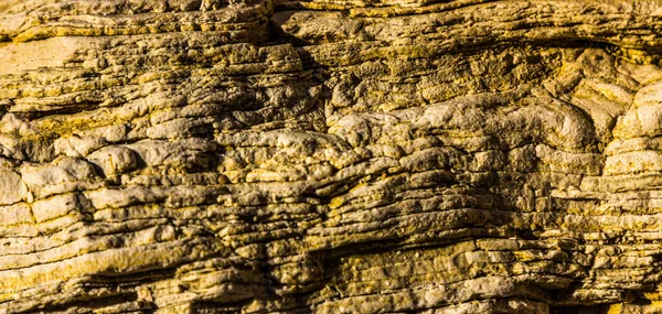 Stones by the sea, texture. The sea stones are large. — Stock Photo, Image