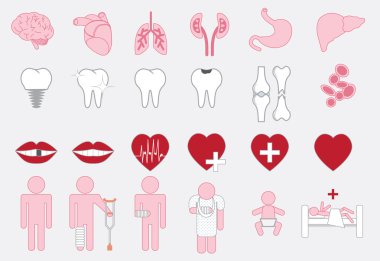 Tıbbi insan organlarını Icon set