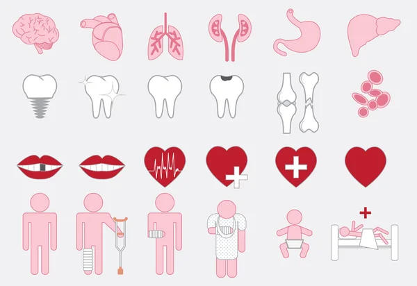 Conjunto de iconos de órganos humanos médicos — Vector de stock