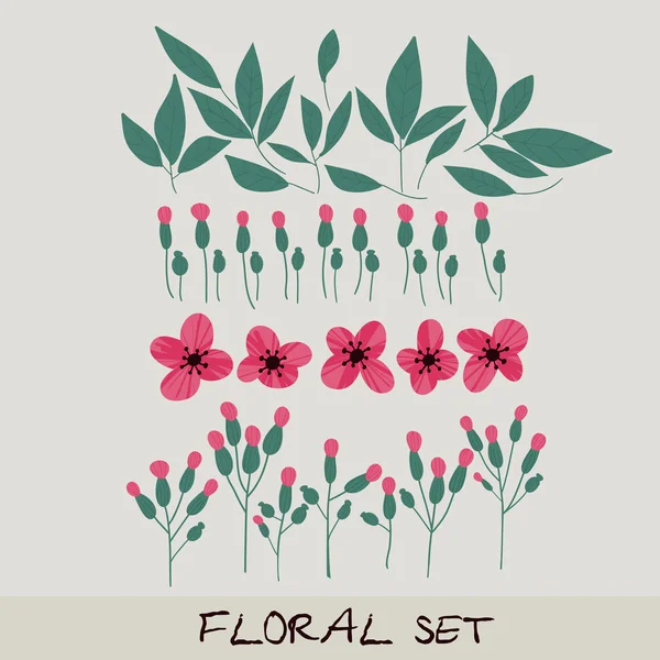 Conjunto floral vectorial. Colección con hojas, flores — Archivo Imágenes Vectoriales