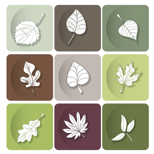 Leaves icon — Stock Vector