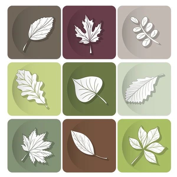 Leaves icon — Stock Vector