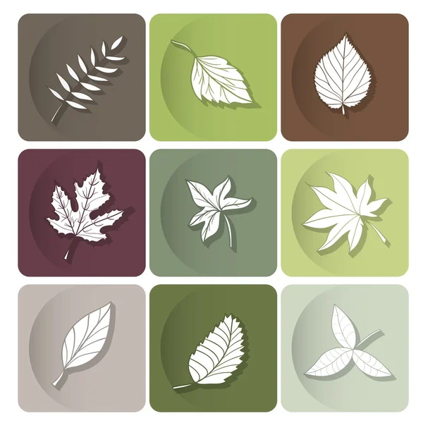 Leaves icon — Stock Vector