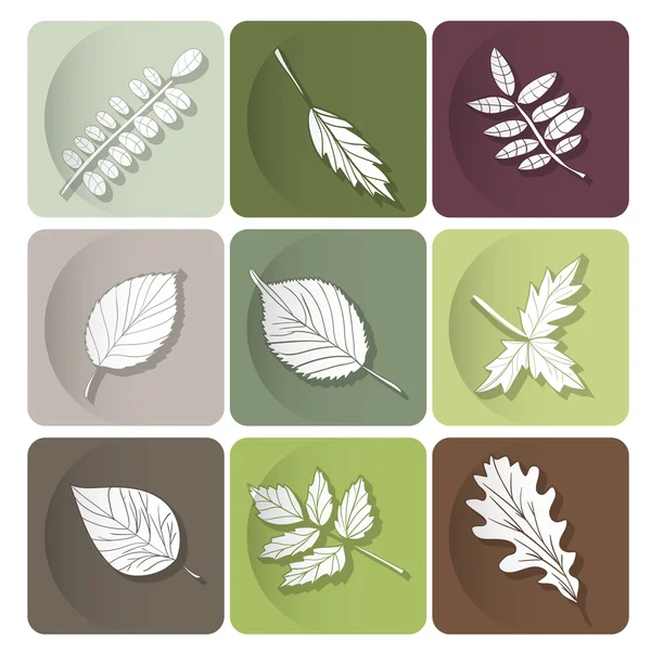 Leaves icon — Stock Vector