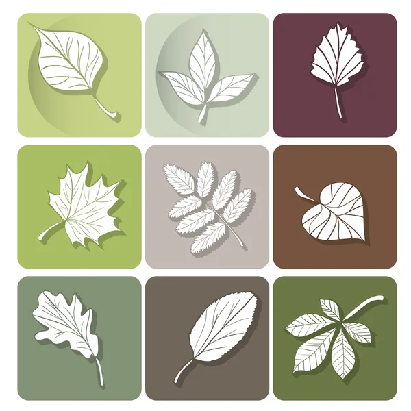 Leaves icon — Stock Vector