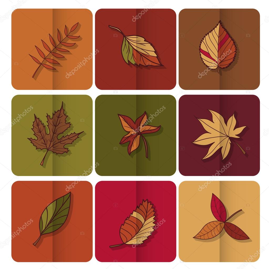 Autumn leaves icon