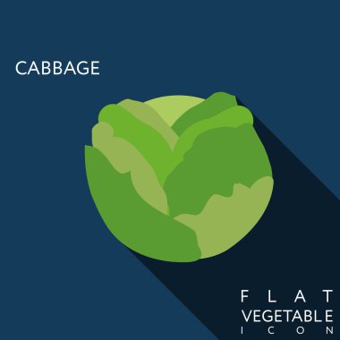 lahana düz simge tasarlamak uzun gölge ile