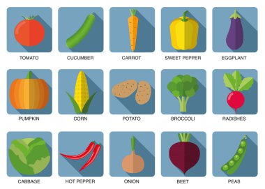 sebze Icon set. Sebze simge görüntüsünü