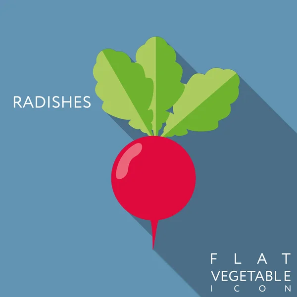 Radish flat icon illustration with long shadow — Stock Vector