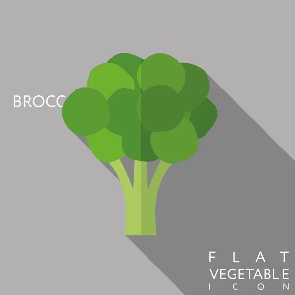 Broccoli platte pictogram illustratie met lange schaduw — Stockvector