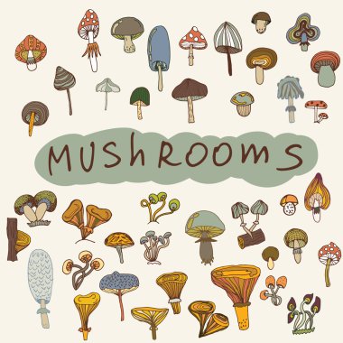 Çizilmiş mantar kümesi