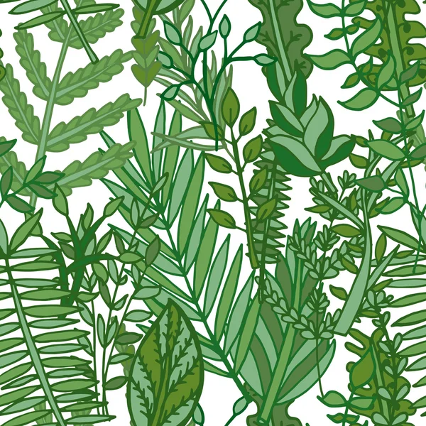 草药，树叶图案 — 图库矢量图片