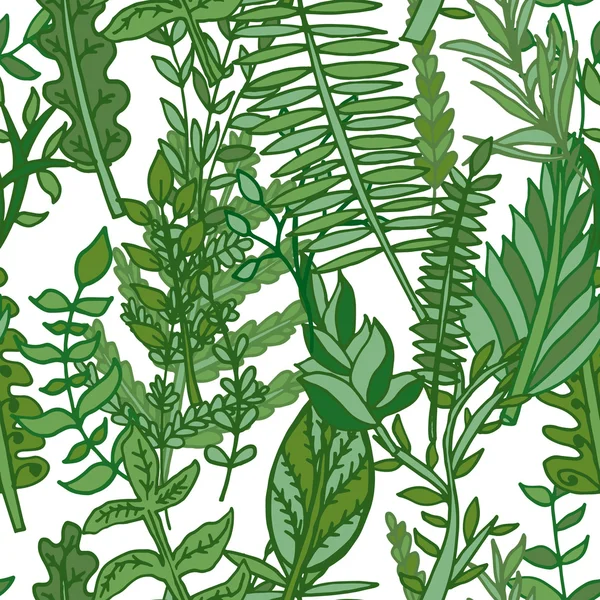 Травяные, листья — стоковый вектор