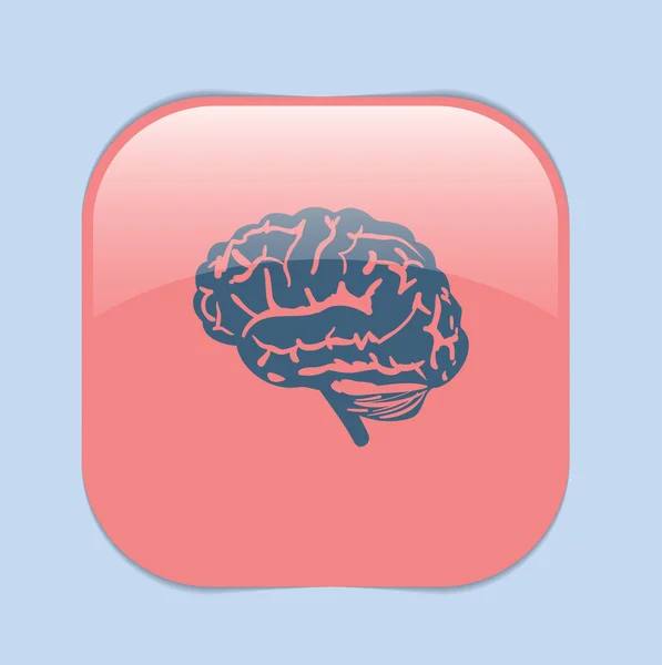 Cerebro. Icono mente y ciencia — Vector de stock