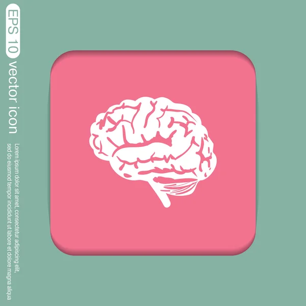 Cerebro. Icono mente y ciencia — Vector de stock