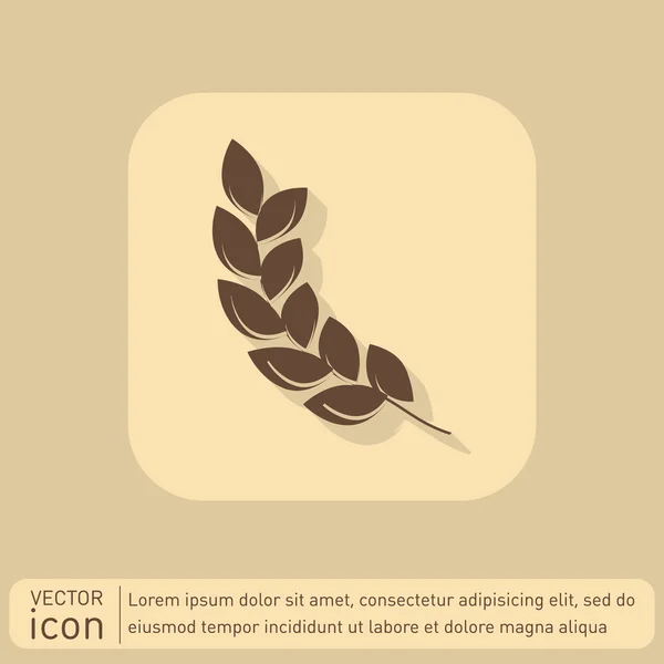 Wheat spike ears icon — Stock Vector