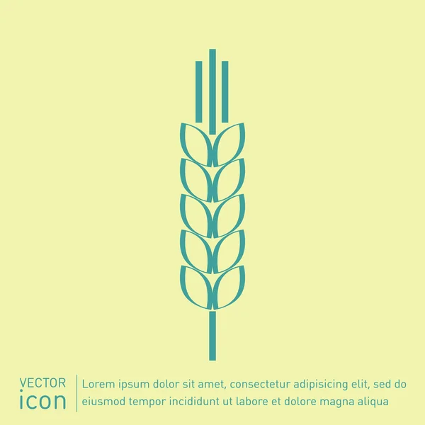 Ícone de espiga de trigo — Vetor de Stock