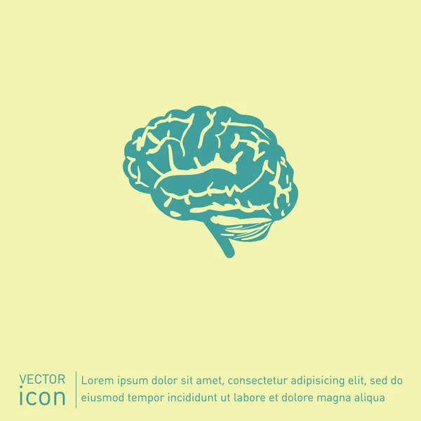 Cerebro. Icono mente y ciencia — Vector de stock