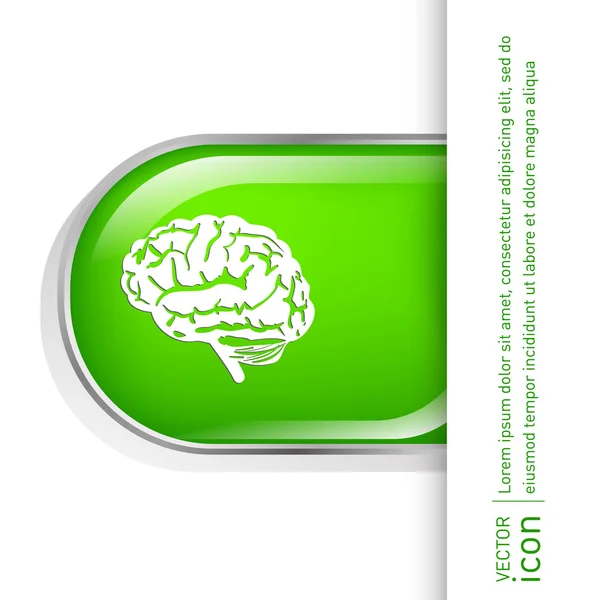 Brain. Mind and science icon — Stock Vector