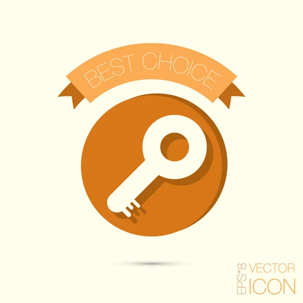 Key, password  icon — Stock Vector