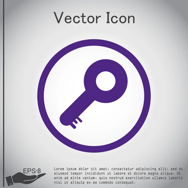 Cheia, pictograma parola — Vector de stoc