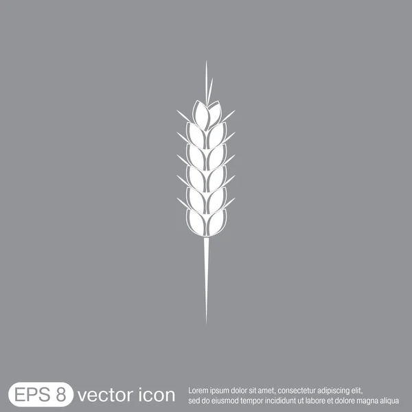 Ikona pšeničného hrotu — Stockový vektor