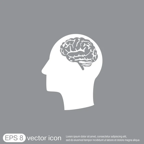 Голова с изображением мозга — стоковый вектор