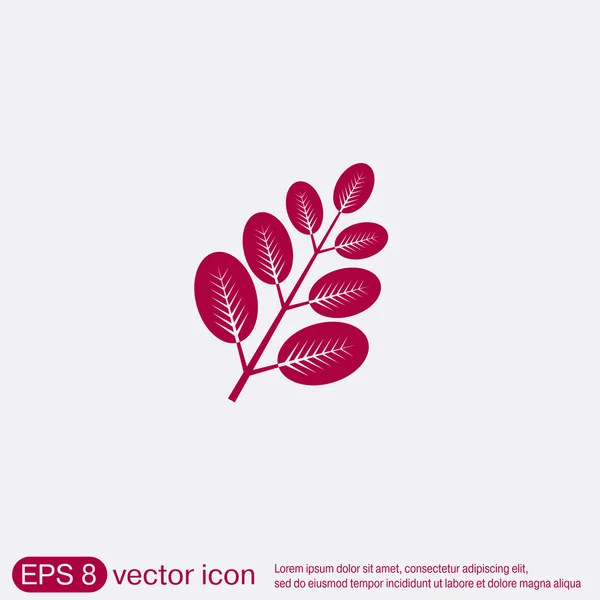Rama con icono de hojas — Vector de stock