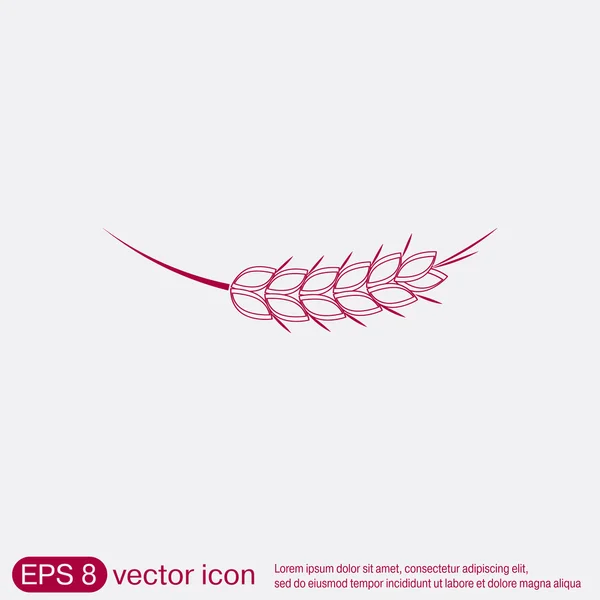 Ícone de orelha de trigo —  Vetores de Stock