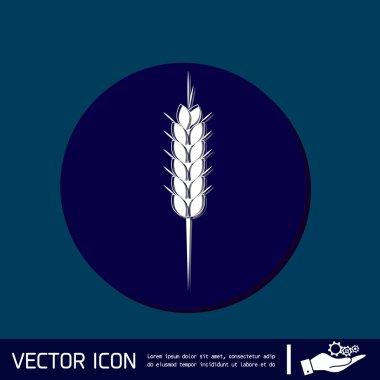 buğday Başak kulakları simgesi