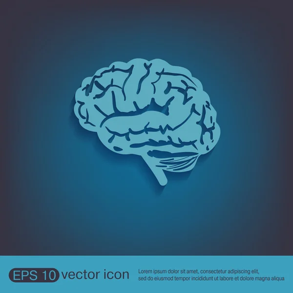 Brain Mind icon — Stock Vector