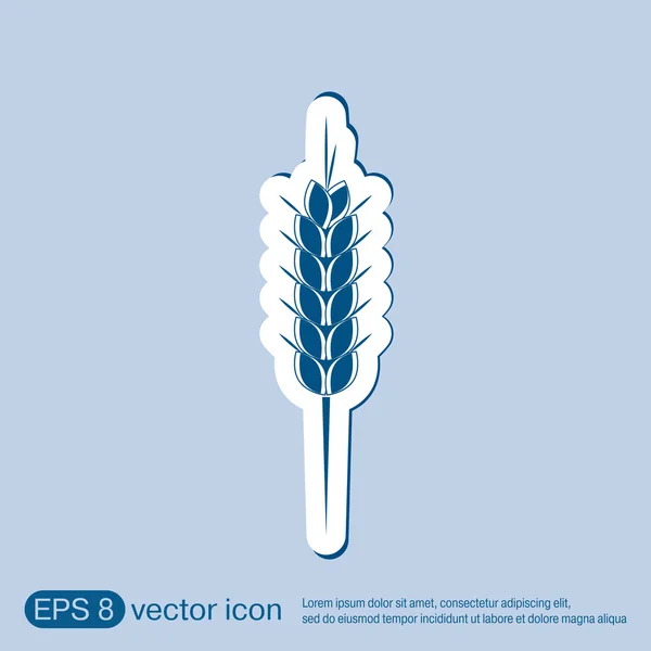Ikona uši špice pšenice — Stockový vektor