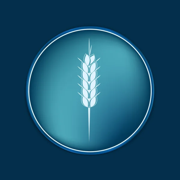 Wheat spike ears icon — Stock Vector