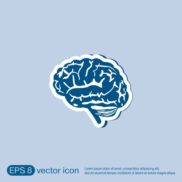Brain. Mind and science — Stock Vector