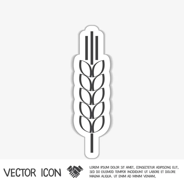 Pšenice špička ucha — Stockový vektor